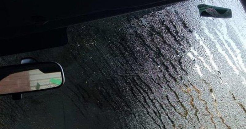 Cửa gió ô tô bị đọng nước